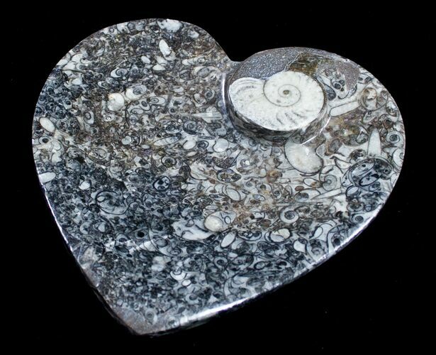 Heart Shaped Fossil Goniatite Dish #8885